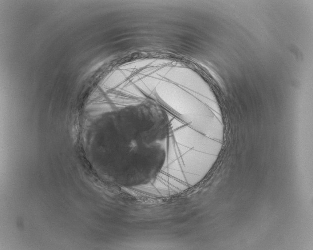 X0000115701015200911251830