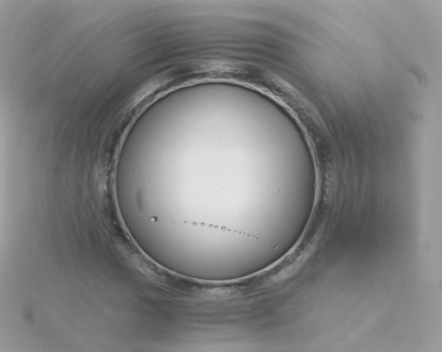 X0000115701017200911251830