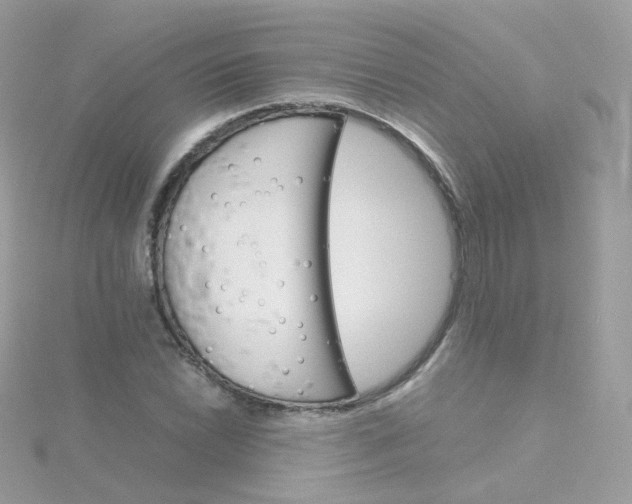 X0000115701022200911251830