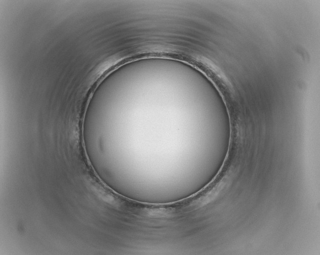 X0000115701025200911251830