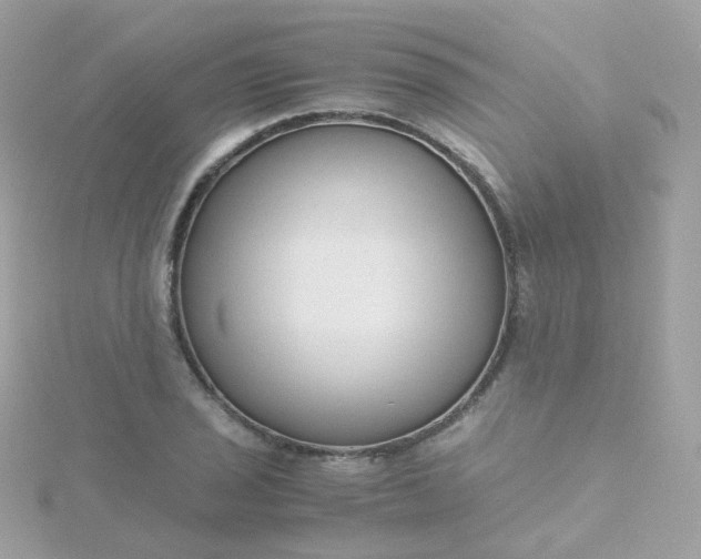 X0000115701029200911251830