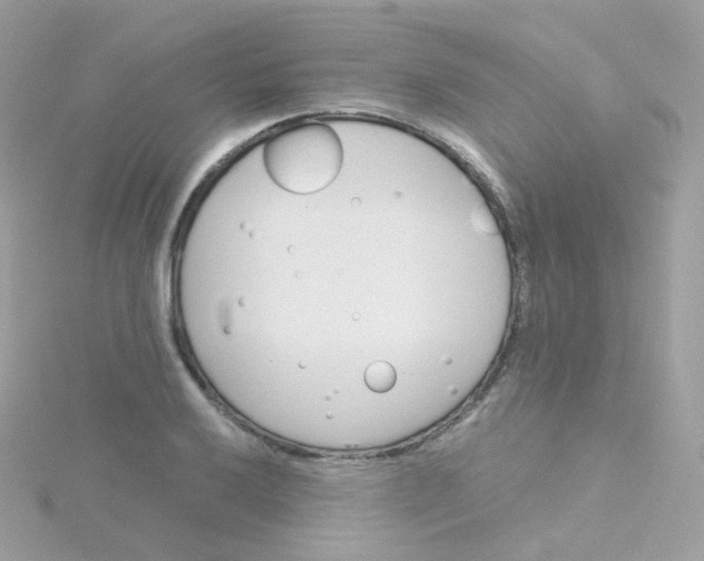 X0000115701032200911251830