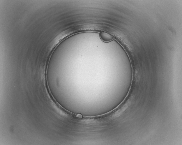 X0000115701033200911251830