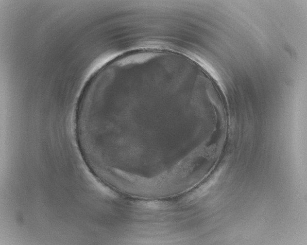 X0000115701045200911251830