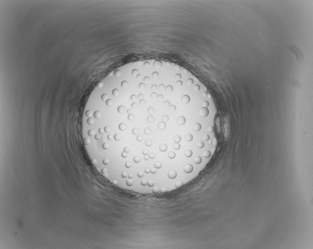 X0000115701059200911251829