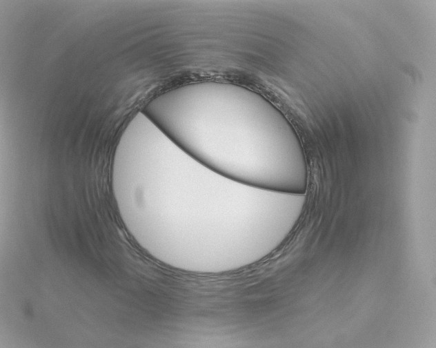 X0000115701060200911251829