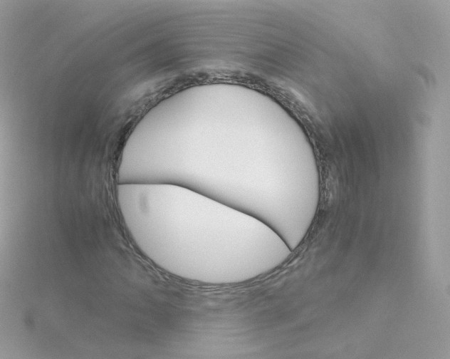 X0000115701062200911251829