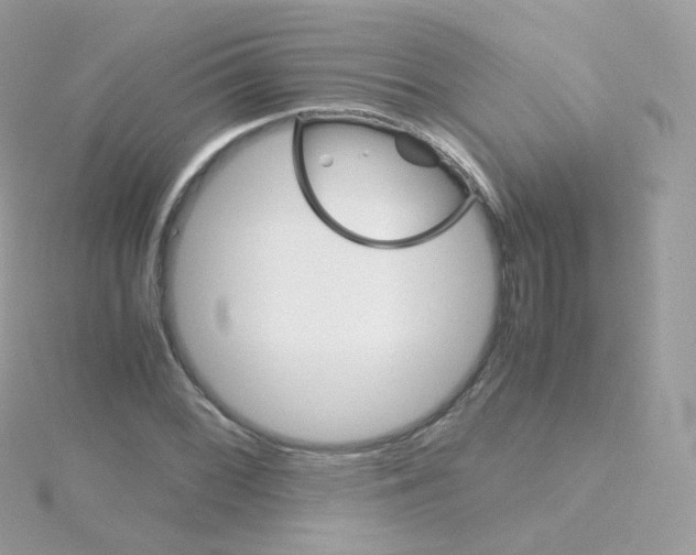 X0000115701068200911251829