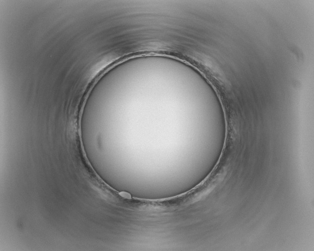 X0000115701073200911251829