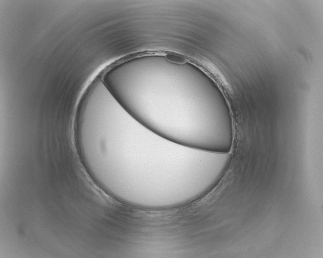 X0000115701076200911251829