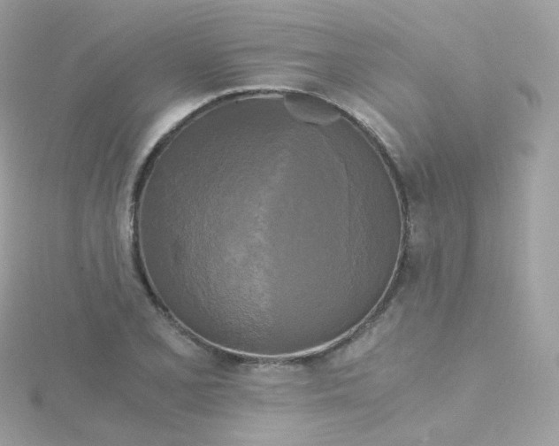 X0000115701077200911251829