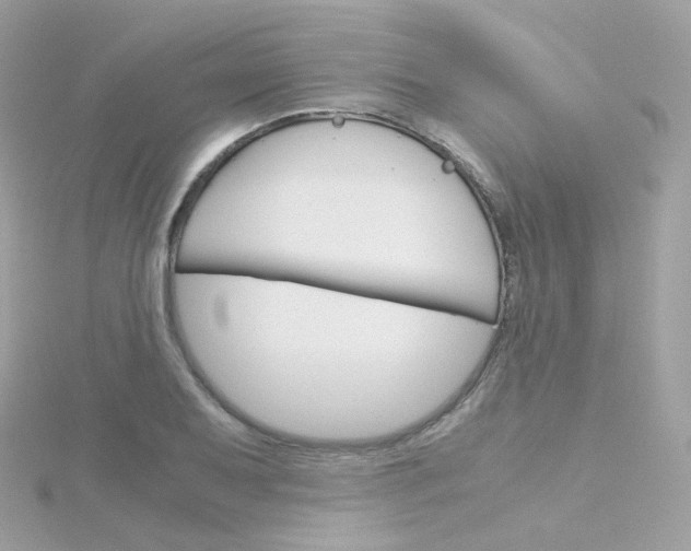 X0000115701079200911251829