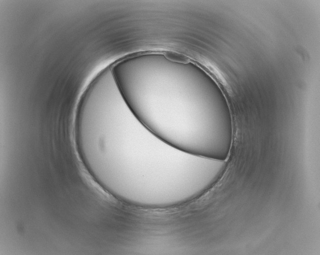 X0000115701080200911251829