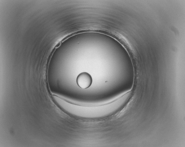 X0000115701081200911251829