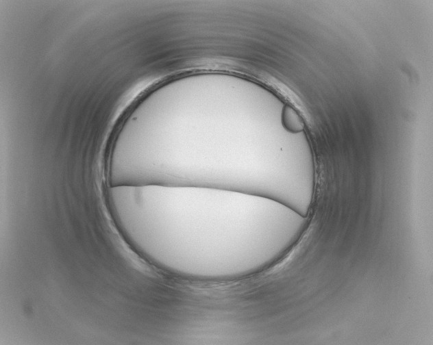 X0000115701082200911251829