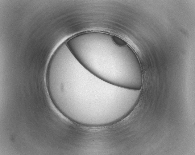 X0000115701084200911251829