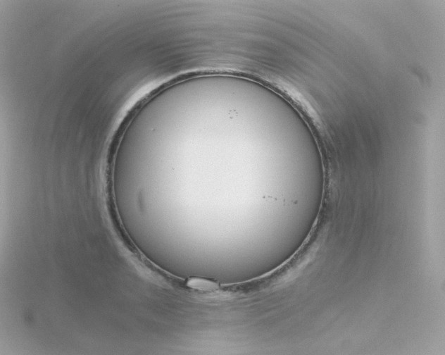 X0000115701085200911251829