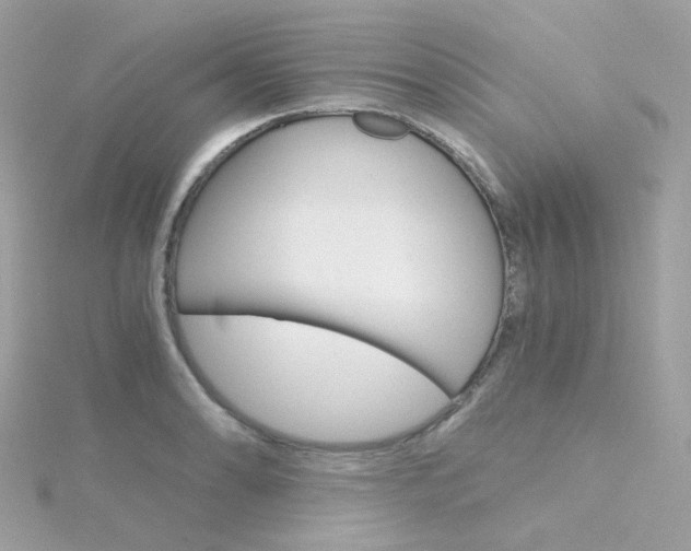 X0000115701086200911251829