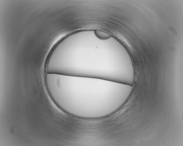 X0000115701087200911251829