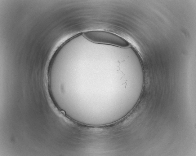 X0000115701088200911251829