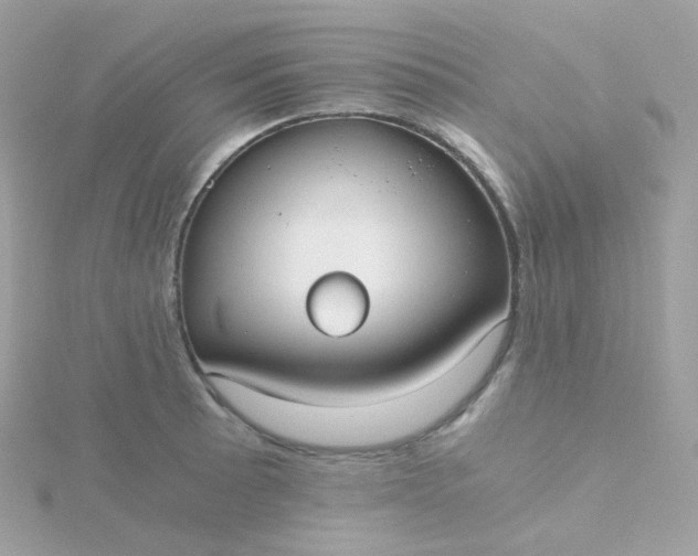 X0000115701089200911251829