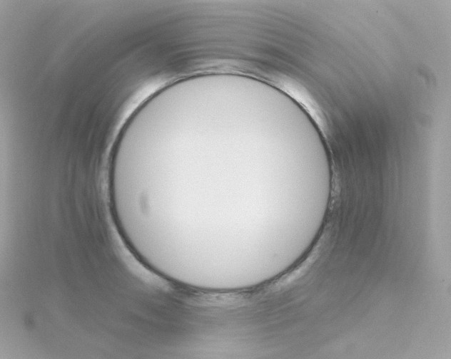 X0000115701090200911251829