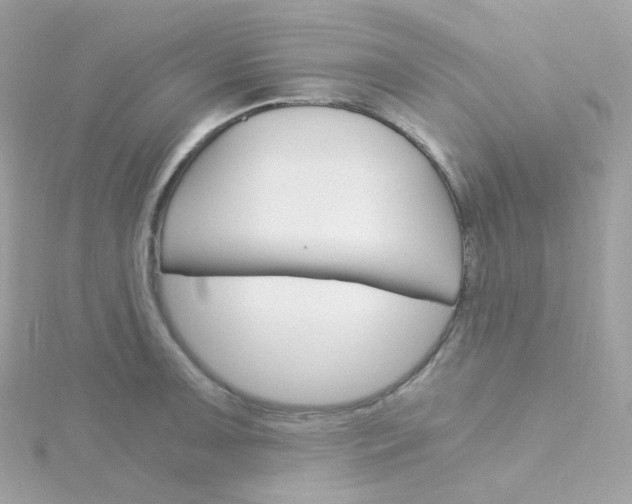 X0000115701091200911251829