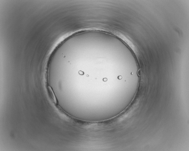 X0000115701093200911251829