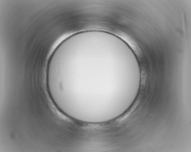 X0000115701094200911251829