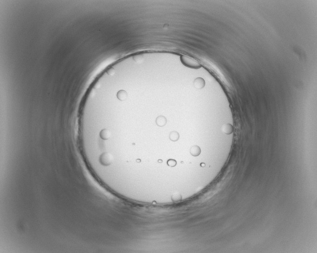 X0000115701095200911251829