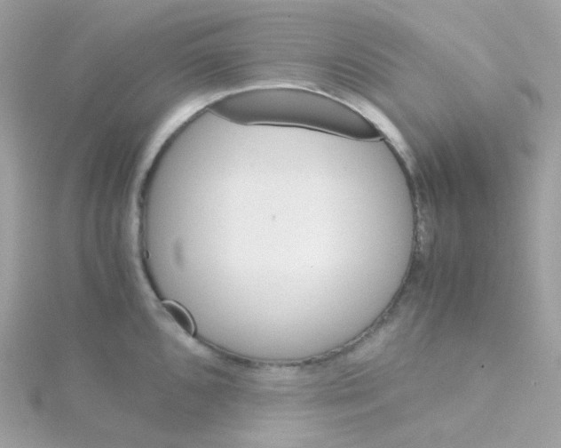 X0000115701096200911251829