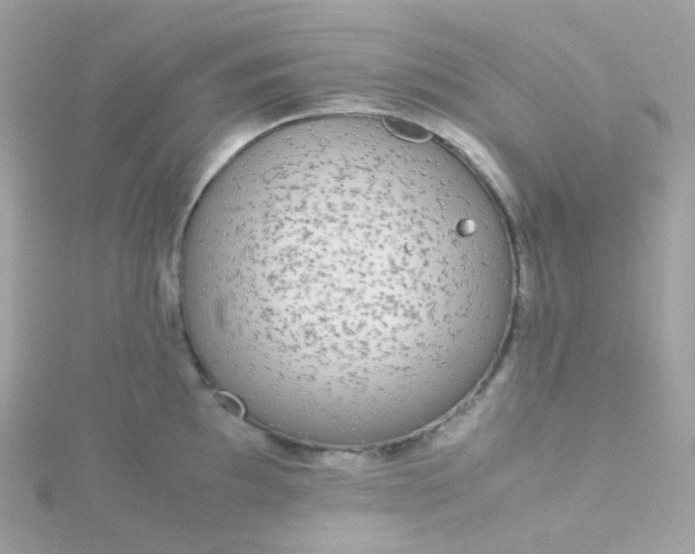 X0000115701097200911251829