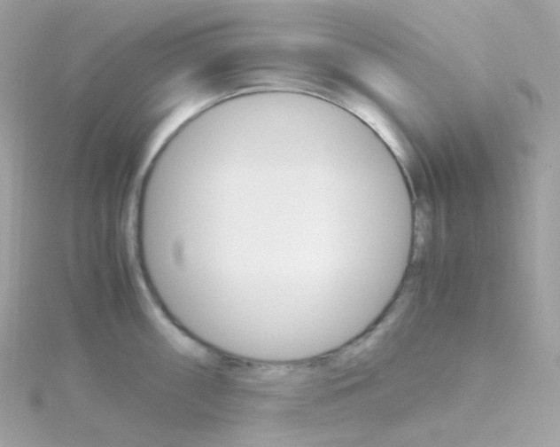 X0000115701098200911251829