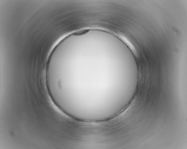 X0000115701100200911251829