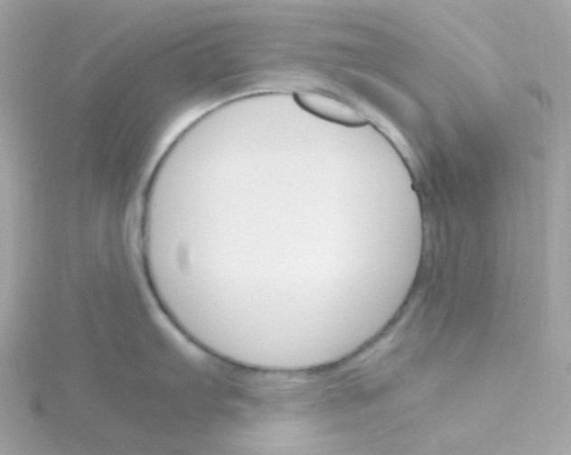 X0000115701103200911251829