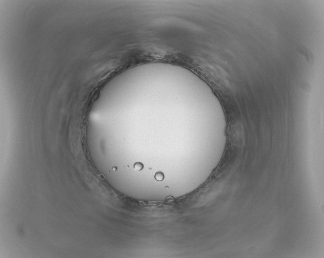 X0000115701105200911251828