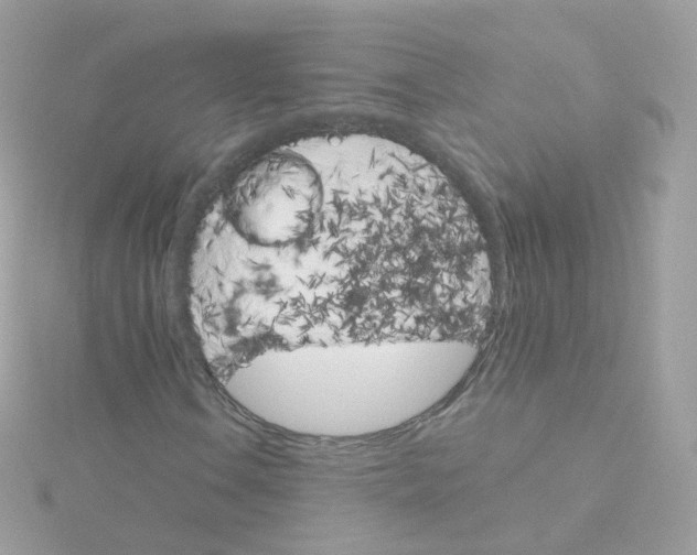 X0000115701106200911251828