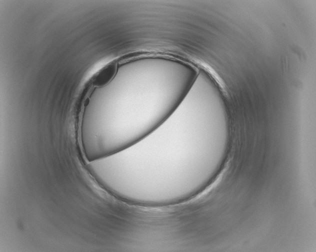 X0000115701114200911251828