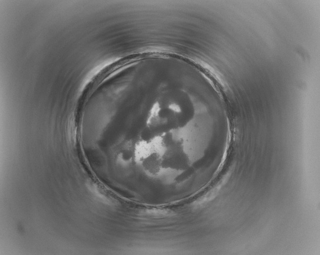 X0000115701117200911251828