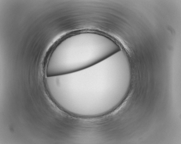 X0000115701118200911251828