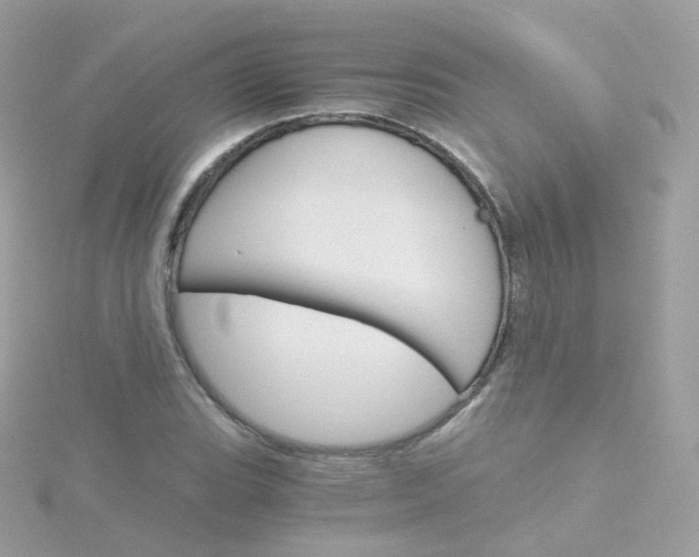 X0000115701119200911251828