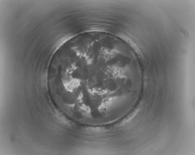 X0000115701121200911251828