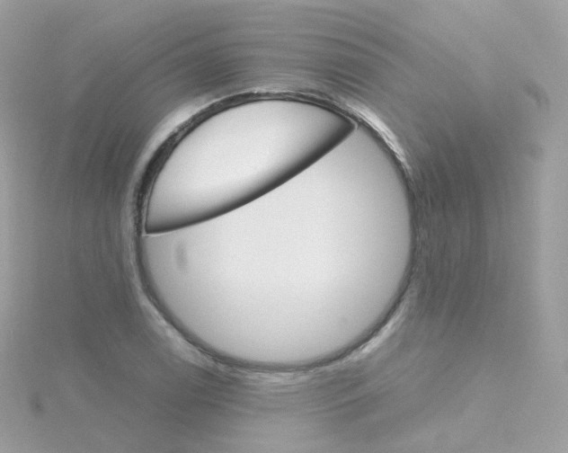 X0000115701122200911251828