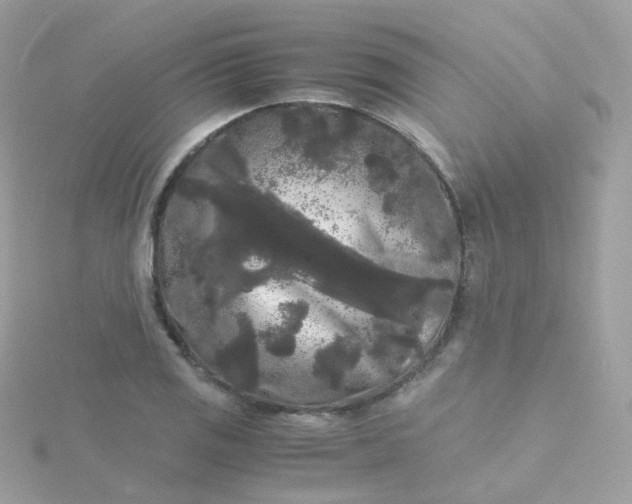 X0000115701125200911251829