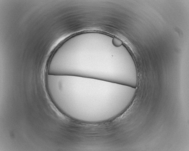 X0000115701127200911251829