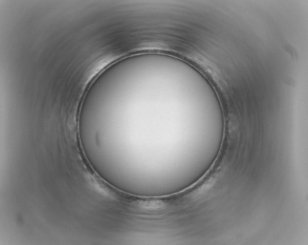 X0000115701129200911251829