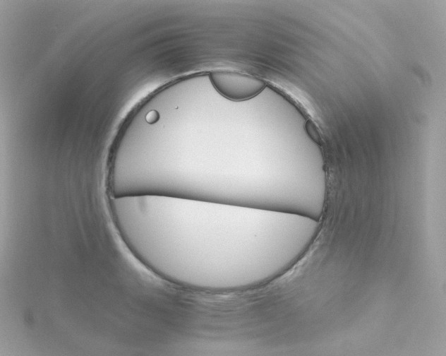 X0000115701135200911251829