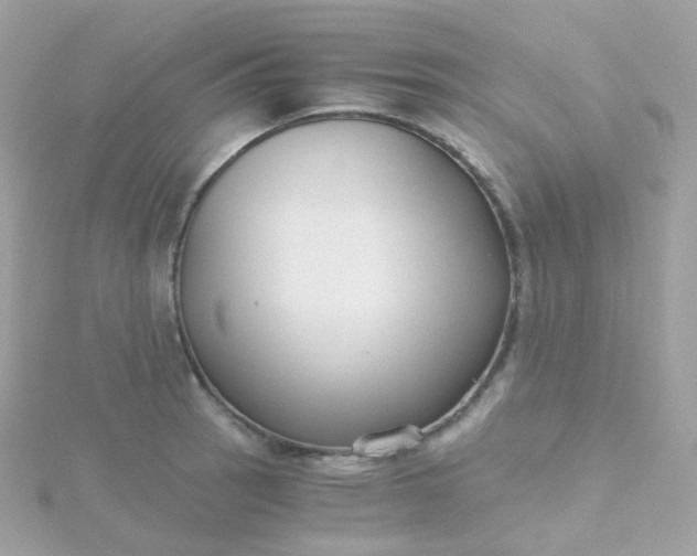 X0000115701137200911251829