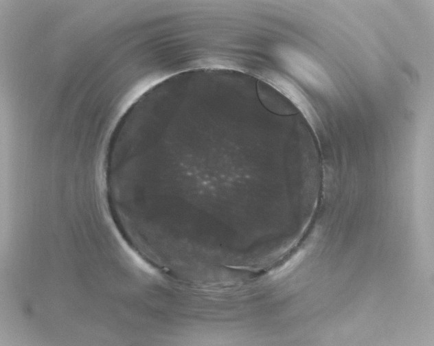 X0000115701141200911251829