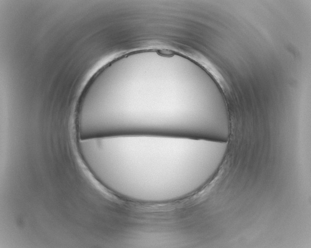 X0000115701142200911251829